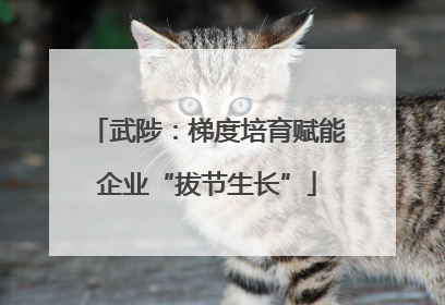武陟：梯度培育赋能企业“拔节生长”
