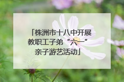 株洲市十八中开展教职工子弟“六一”亲子游艺活动