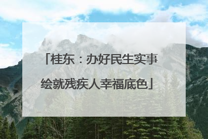 桂东：办好民生实事 绘就残疾人幸福底色