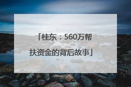桂东：560万帮扶资金的背后故事