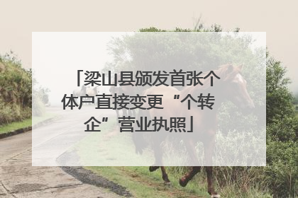 梁山县颁发首张个体户直接变更“个转企”营业执照