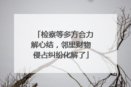 检察等多方合力解心结，邻里财物侵占纠纷化解了