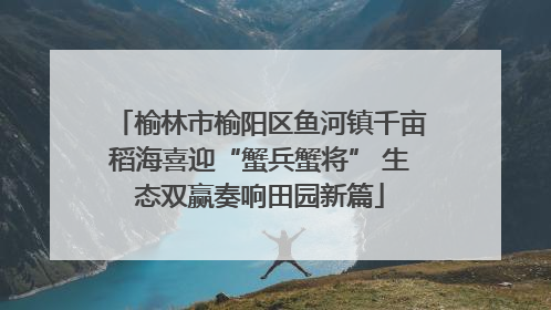 榆林市榆阳区鱼河镇千亩稻海喜迎“蟹兵蟹将” 生态双赢奏响田园新篇