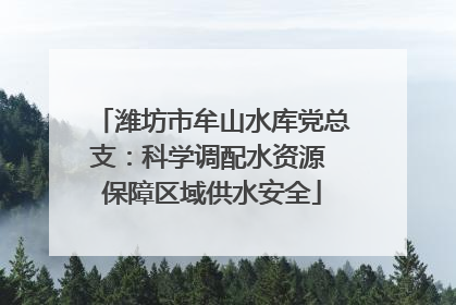 潍坊市牟山水库党总支：科学调配水资源 保障区域供水安全