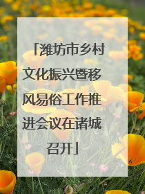 潍坊市乡村文化振兴暨移风易俗工作推进会议在诸城召开
