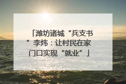 潍坊诸城“兵支书”李炜：让村民在家门口实现“就业”