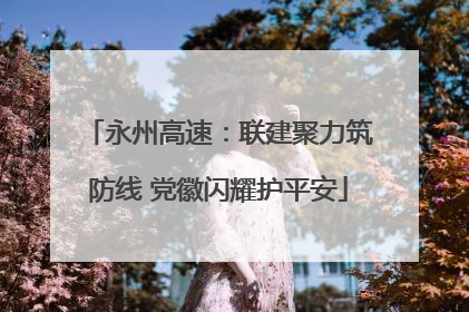 永州高速：联建聚力筑防线 党徽闪耀护平安
