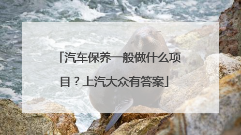 汽车保养一般做什么项目？上汽大众有答案