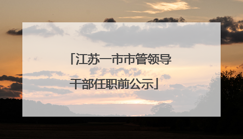 江苏一市市管领导干部任职前公示