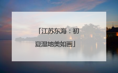 江苏东海：初夏湿地美如画