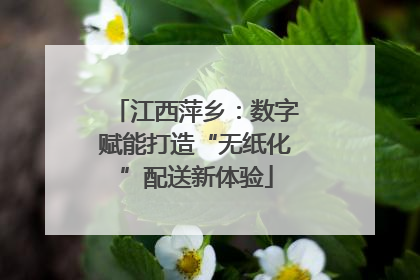 江西萍乡：数字赋能打造“无纸化”配送新体验