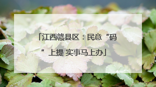 江西赣县区：民意“码”上提 实事马上办