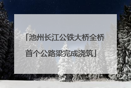 池州长江公铁大桥全桥首个公路梁完成浇筑