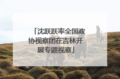 沈跃跃率全国政协视察团在吉林开展专题视察