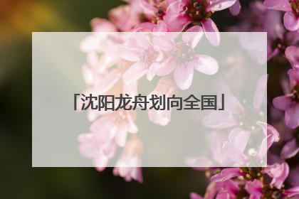 沈阳龙舟划向全国