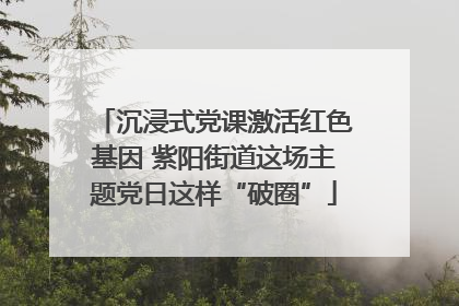 沉浸式党课激活红色基因 紫阳街道这场主题党日这样“破圈”