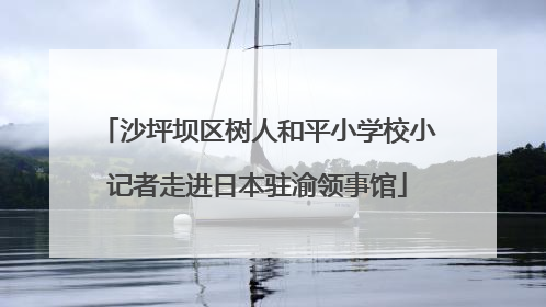 沙坪坝区树人和平小学校小记者走进日本驻渝领事馆