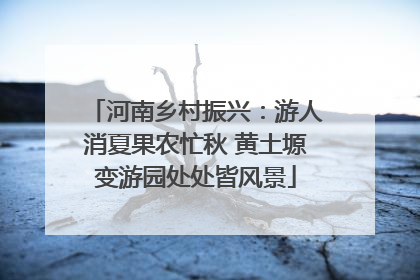 河南乡村振兴：游人消夏果农忙秋 黄土塬变游园处处皆风景