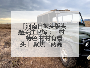 河南日报头版头题关注卫辉：一村一特色 村村有看头 ︳聚焦“两高四着力”·一“县”观察