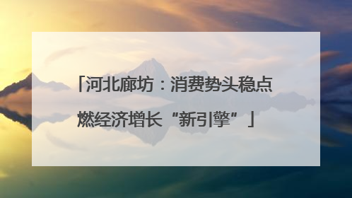 河北廊坊：消费势头稳点燃经济增长“新引擎”