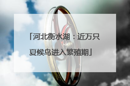 河北衡水湖：近万只夏候鸟进入繁殖期