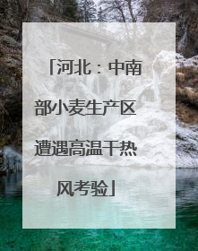 河北：中南部小麦生产区遭遇高温干热风考验