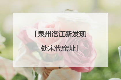 泉州洛江新发现一处宋代窑址