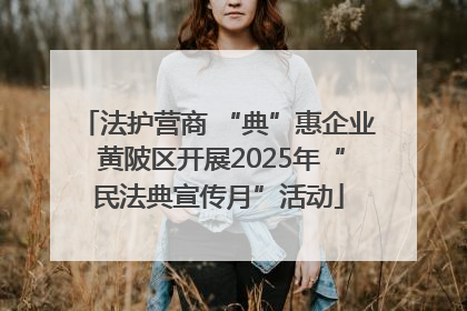 法护营商 “典”惠企业 黄陂区开展2025年“民法典宣传月”活动