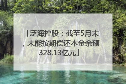 泛海控股：截至5月末，未能按期偿还本金余额328.13亿元