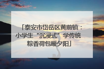 泰安市岱岳区黄前镇：小学生“沉浸式”学传统 粽香荷包暖夕阳