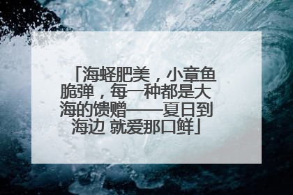 海蛏肥美，小章鱼脆弹，每一种都是大海的馈赠——夏日到海边 就爱那口鲜