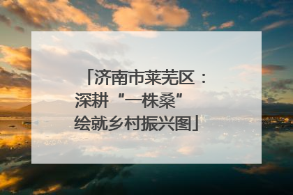 济南市莱芜区：深耕“一株桑” 绘就乡村振兴图