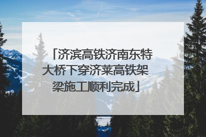 济滨高铁济南东特大桥下穿济莱高铁架梁施工顺利完成