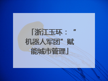 浙江玉环：“机器人军团”赋能城市管理