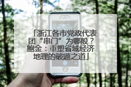 浙江各市党政代表团“串门”为哪般？鲍金：重塑省域经济地理的破题之道