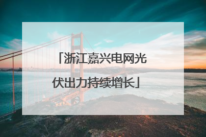 浙江嘉兴电网光伏出力持续增长