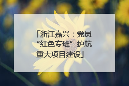 浙江嘉兴：党员“红色专班”护航重大项目建设