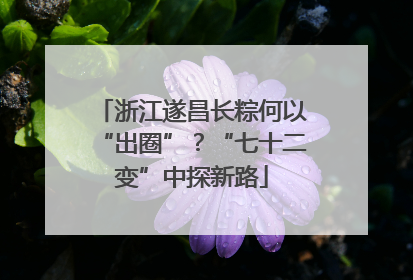浙江遂昌长粽何以“出圈”？“七十二变”中探新路