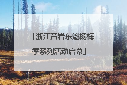 浙江黄岩东魁杨梅季系列活动启幕