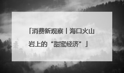消费新观察丨海口火山岩上的“甜蜜经济”
