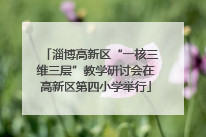 淄博高新区“一核三维三层”教学研讨会在高新区第四小学举行