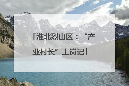 淮北烈山区：“产业村长”上岗记