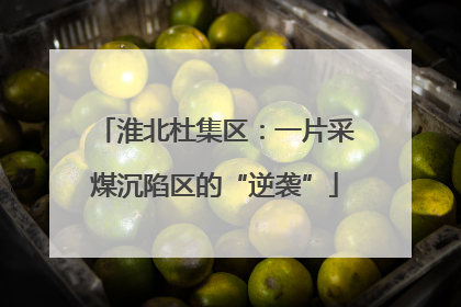 淮北杜集区：一片采煤沉陷区的“逆袭”