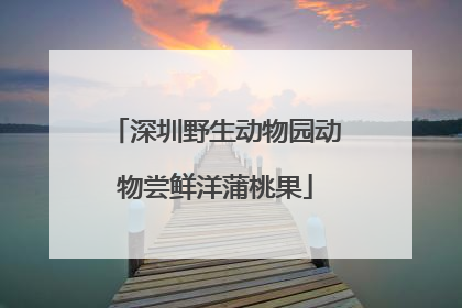 深圳野生动物园动物尝鲜洋蒲桃果