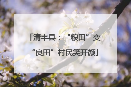 清丰县：“粮田”变“良田”村民笑开颜