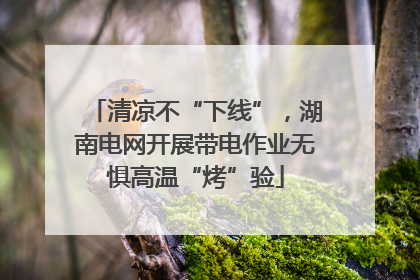 清凉不“下线”，湖南电网开展带电作业无惧高温“烤”验