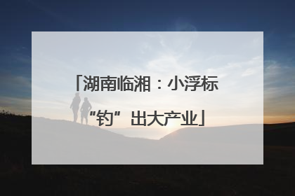 湖南临湘：小浮标“钓”出大产业