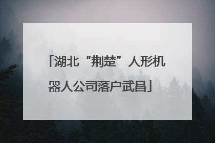 湖北“荆楚”人形机器人公司落户武昌