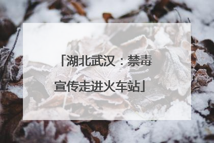湖北武汉：禁毒宣传走进火车站