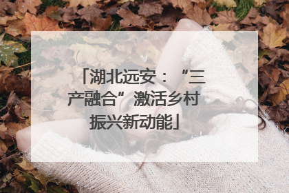 湖北远安：“三产融合”激活乡村振兴新动能